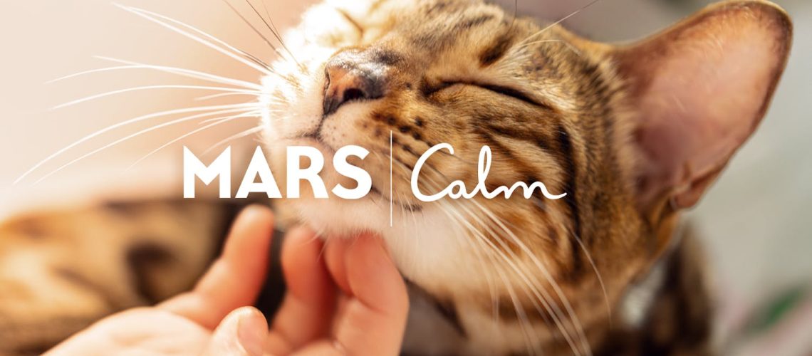 Mars et Calm révèlent le pouvoir du lien Homme-Animal Mars et Calm révèlent le pouvoir du lien Homme-Animal