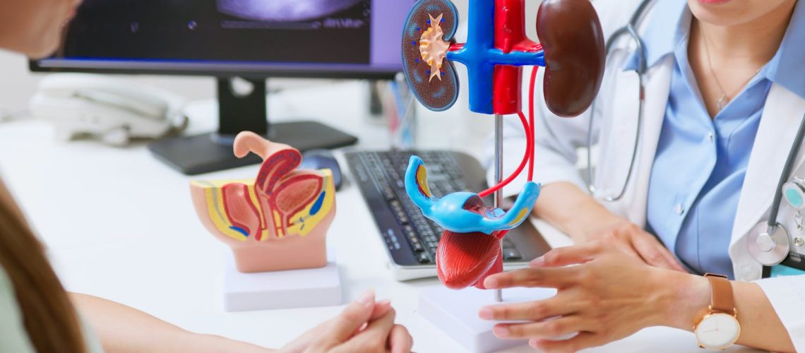 Fibroscopie urinaire : indications et déroulement